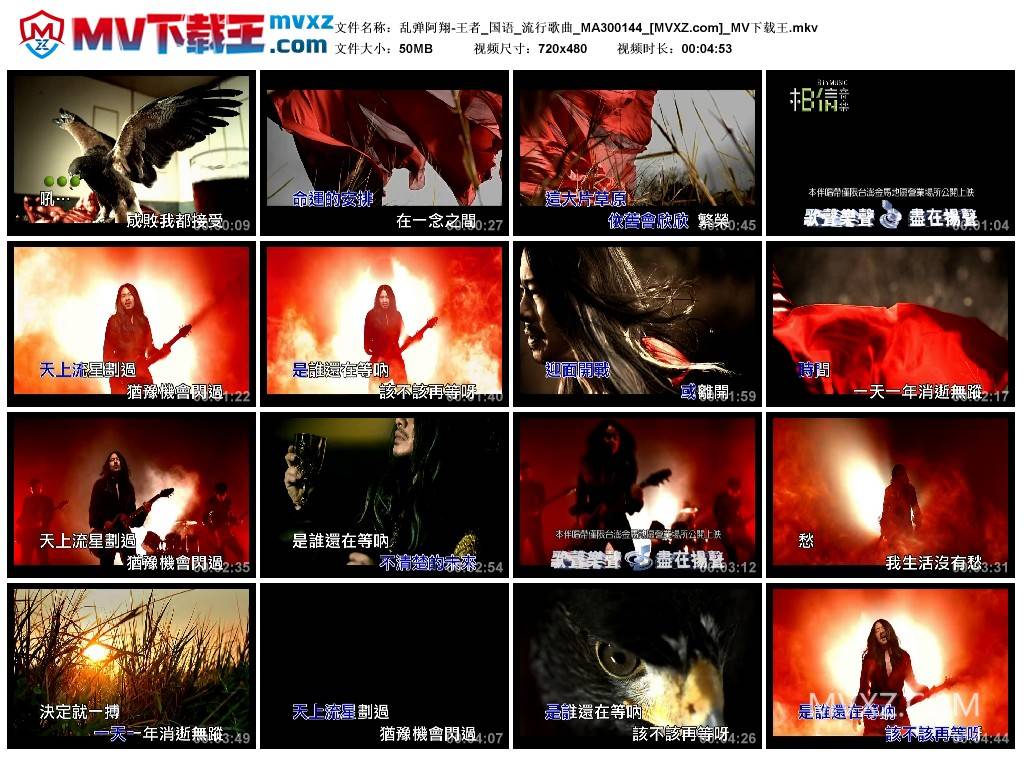 乱弹阿翔-王者_国语_流行歌曲_MA300144